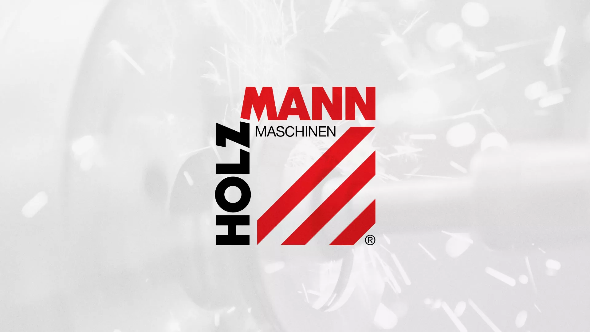 Создание сайта компании «HOLZMANN Maschinen GmbH» в Болотном